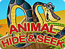 Animal Hide and Seek