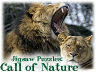 Call of Nature: Free Jigsaw Puzzle