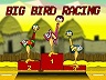 Big Bird Racing