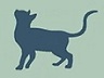 Find Cats Find Cats