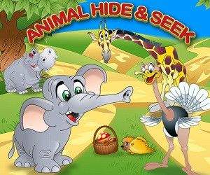 Animal Hide and Seek Animal Hide and Seek