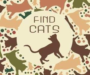Find Cats Find Cats
