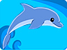 Star Splash Star Splash