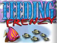 Feeding Frenzy