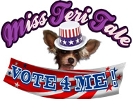 Miss Teri Tale: Vote 4 Me