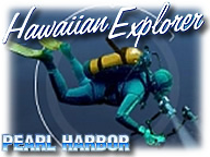 Hawaiian Explorer: Pearl Harbor